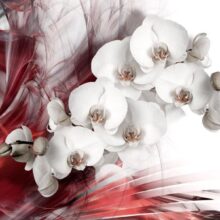 Fotobehang - Orchid in red