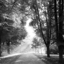Fotobehang - Path of Memories