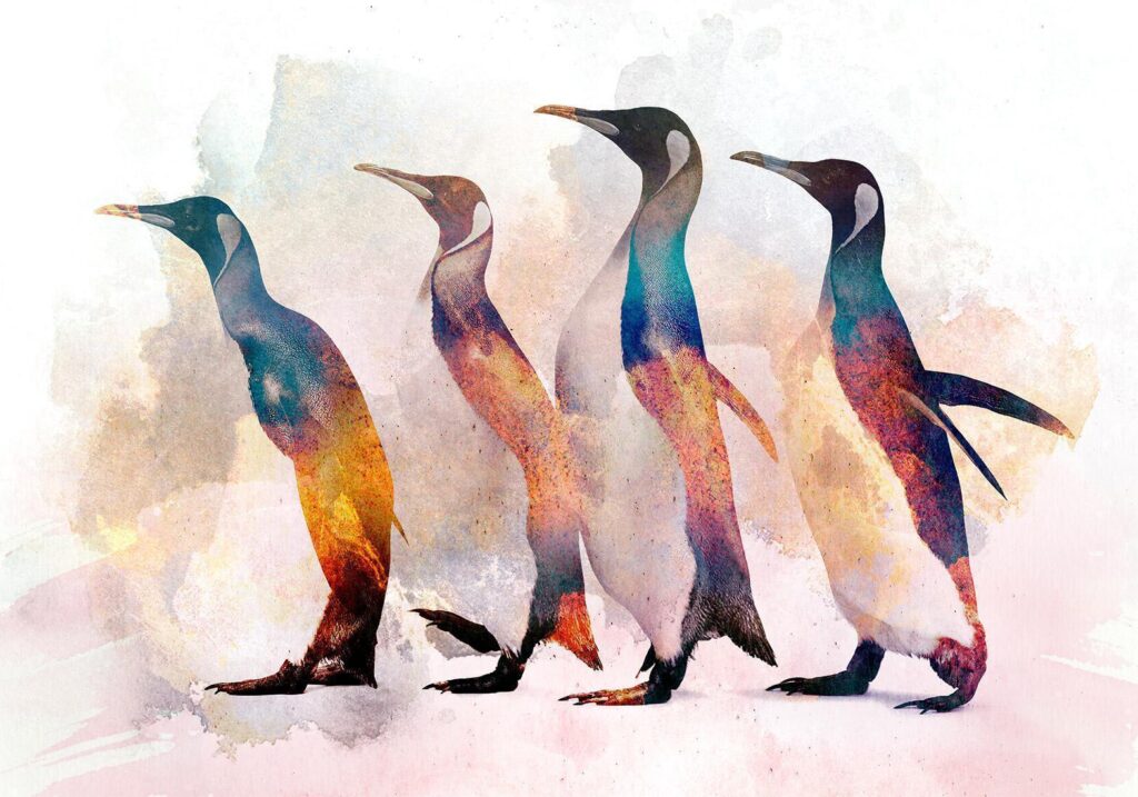 Fotobehang - Penguin Wandering