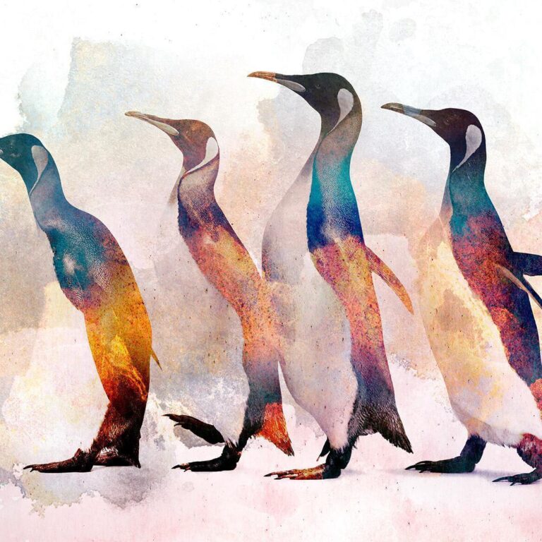 Fotobehang - Penguin Wandering