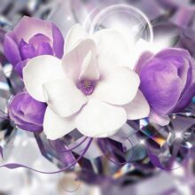 Fotobehang - Purple Empress