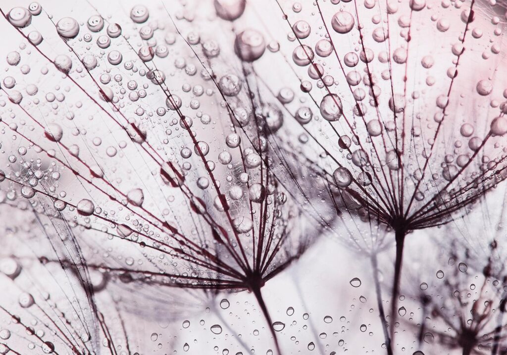 Fotobehang - Rainy Time - Afbeelding 2