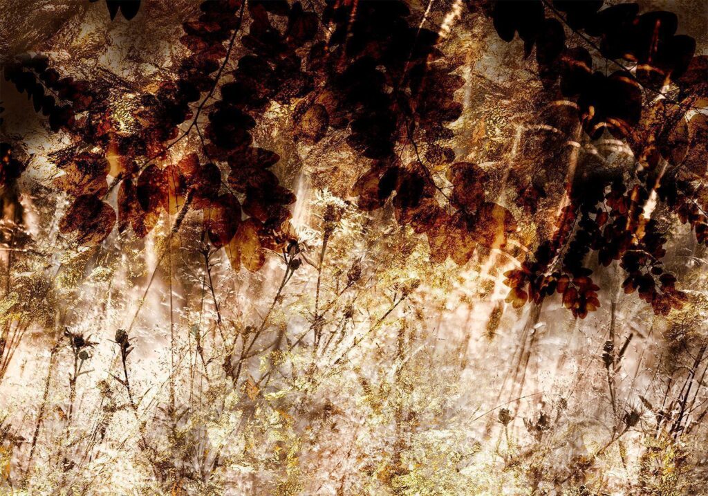 Fotobehang - Retro Meadow - Afbeelding 2