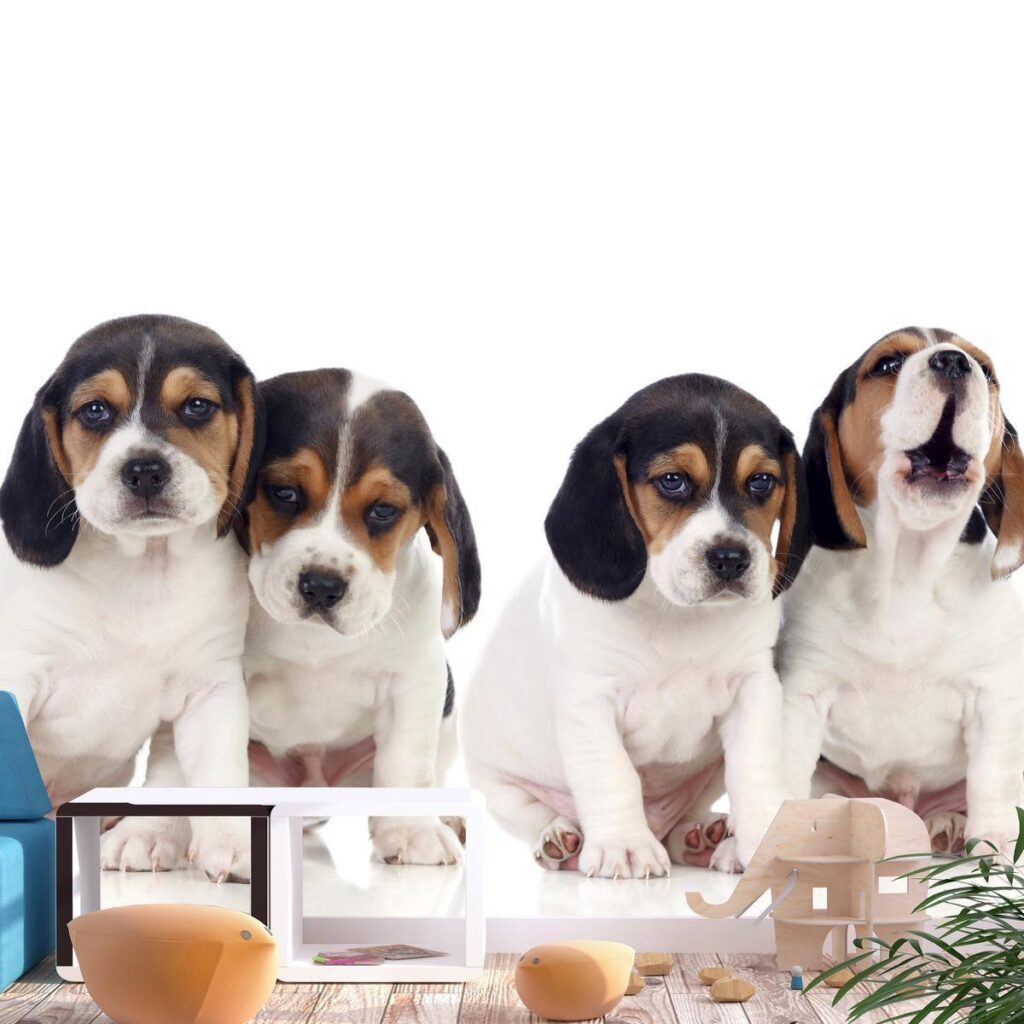 Fotobehang - Sad Puppies