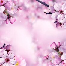 Fotobehang - Say Hello to Spring