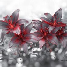 Fotobehang - Shadow of Passion