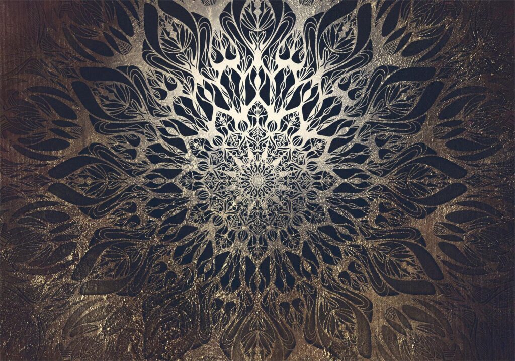 Fotobehang - Spider Web (Brown)