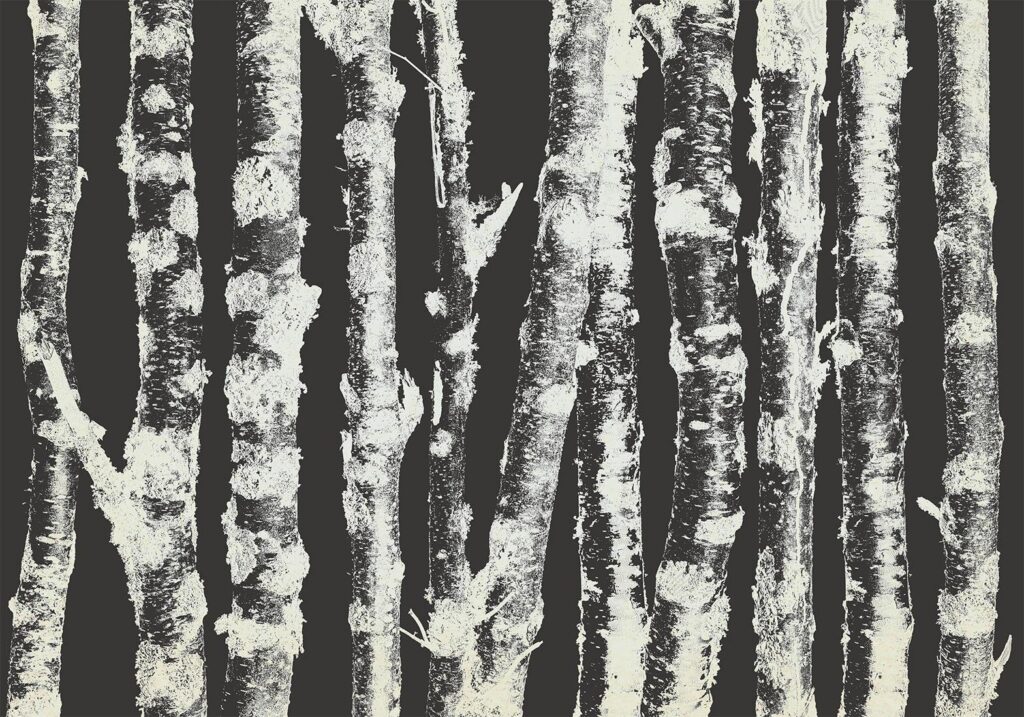 Fotobehang - Stately Birches - Second Variant - Afbeelding 2