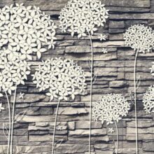 Fotobehang - Stones Flowers