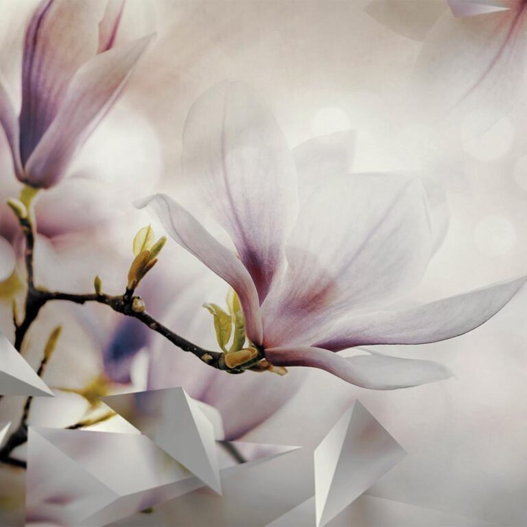 Fotobehang - Subtle Magnolias - First Variant