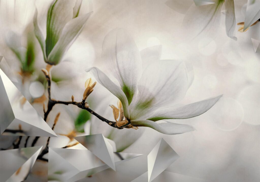 Fotobehang - Subtle Magnolias - Second Variant - Afbeelding 2