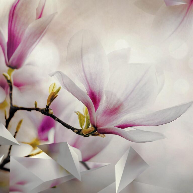 Fotobehang - Subtle Magnolias - Third Variant
