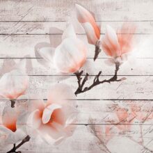 Fotobehang - Subtlety of the Magnolia
