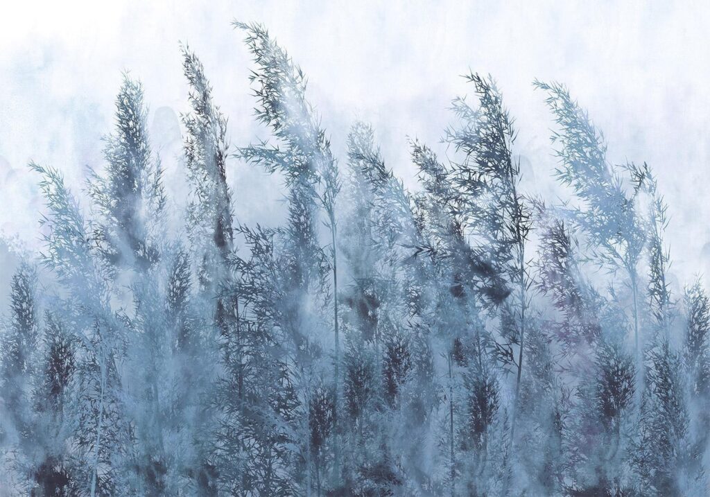 Fotobehang - Tall Grasses - Grey