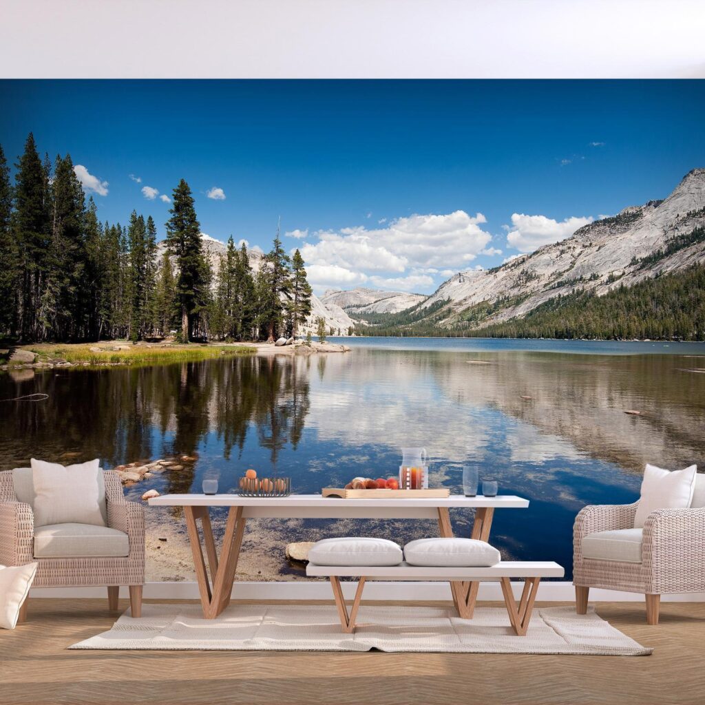 Fotobehang - Tenaya Lake - Afbeelding 2