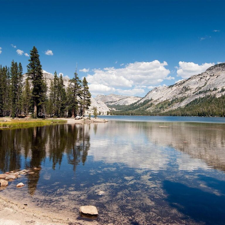 Fotobehang - Tenaya Lake
