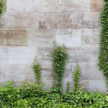 Fotobehang - The Forgotten Garden