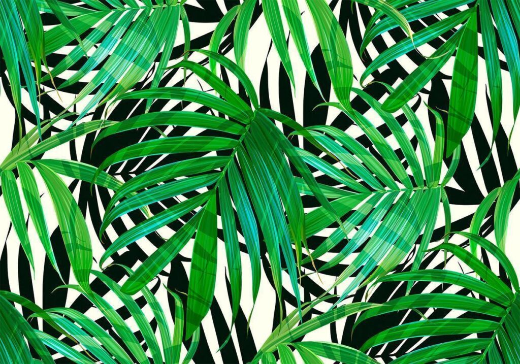 Fotobehang - Tropical Leaves