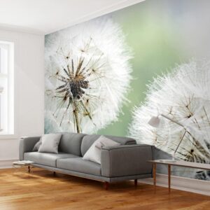 Fotobehang - Two dandelions
