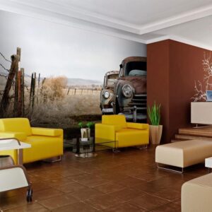 Fotobehang - Two old, American cars
