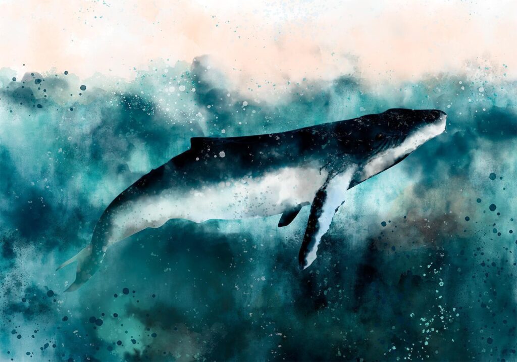 Fotobehang - Underwater Life - Afbeelding 2