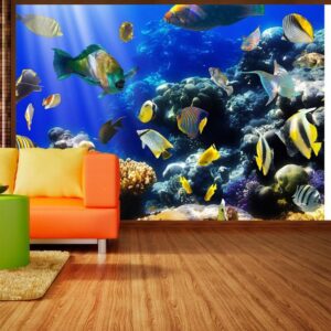Fotobehang - Underwater adventure