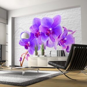 Fotobehang - Violet excitation