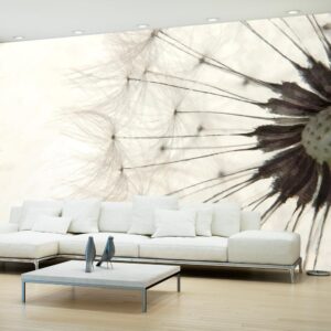 Fotobehang - White Dandelion
