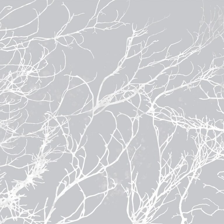 Fotobehang - White Trees