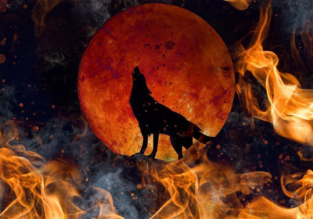 Fotobehang - Wild nature - wolf on a background of a red moon in flames of fire - Afbeelding 2