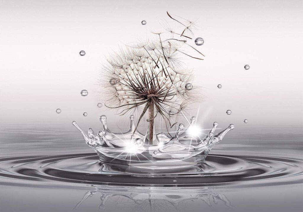 Fotobehang - Wind Drops