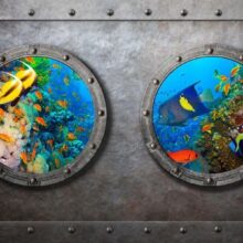 Fotobehang - Window to the underwater world