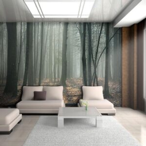 Fotobehang - Witches' forest