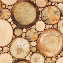 Fotobehang - Wood grains