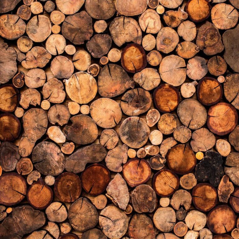 Fotobehang - Wooden Gate