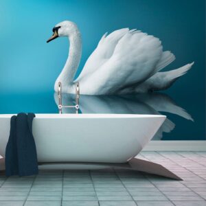 Fotobehang - swan - reflection