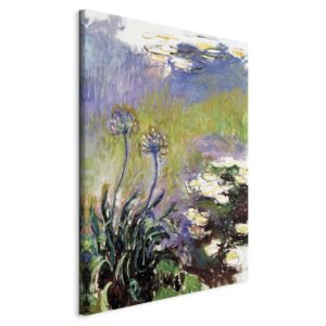 Schilderij - Agapanthus
