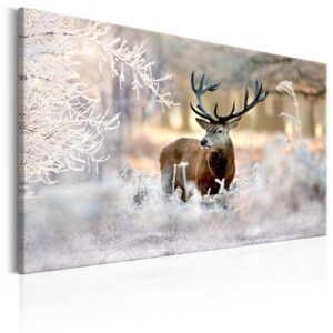 Schilderij - Deer in the Cold