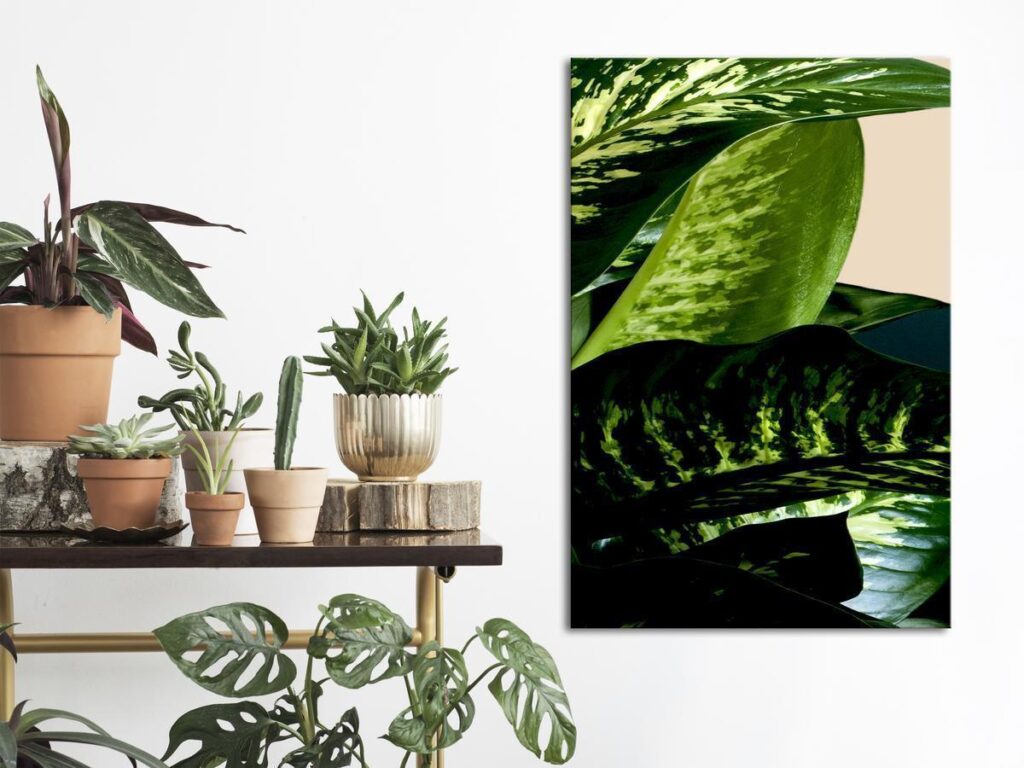 Schilderij - Dieffenbachia (1 Part) Vertical