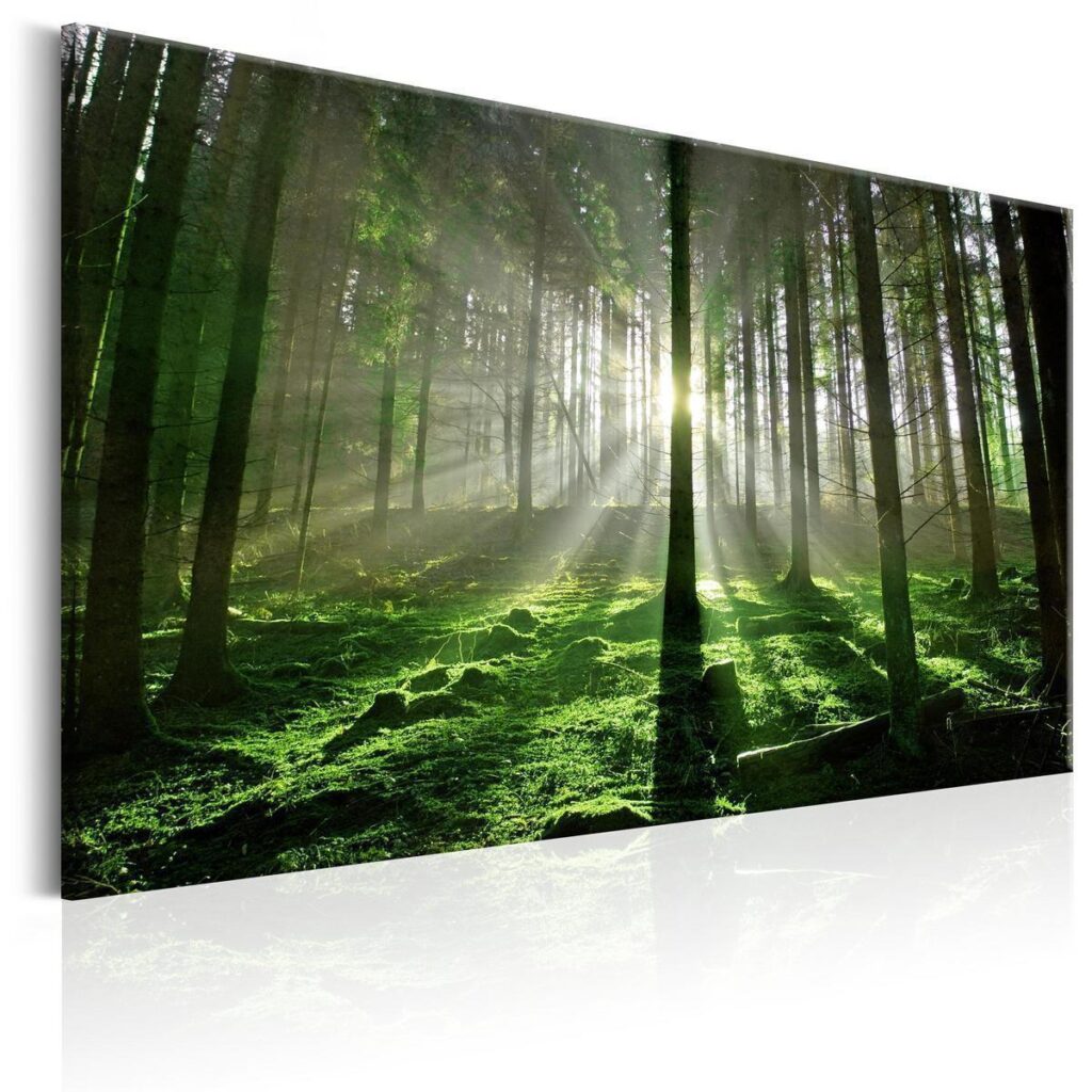 Schilderij - Emerald Forest II