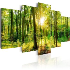 Schilderij - Forest Tale