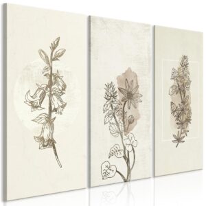 Schilderij - Herbarium (3 Parts)