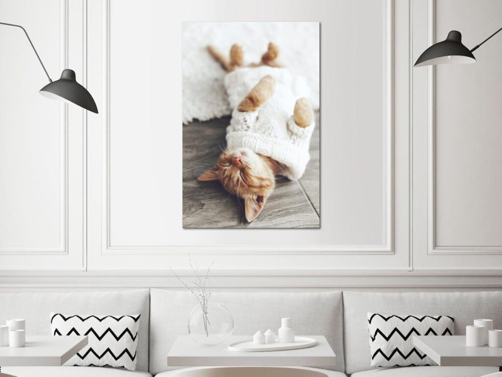 Schilderij - Lazy Cat (1 Part) Vertical