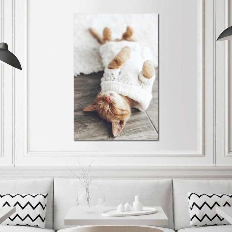 Schilderij - Lazy Cat (1 Part) Vertical