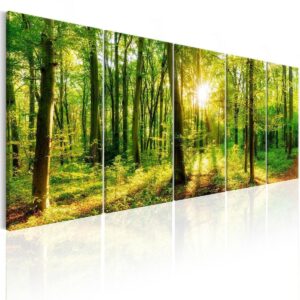 Schilderij - Magic Forest