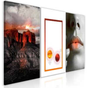 Schilderij - Passion (3 Parts)