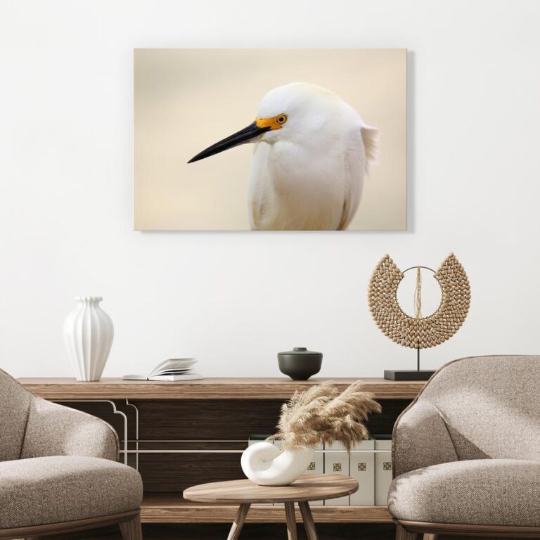 Schilderij - Snowy Egret (1 Part) Wide