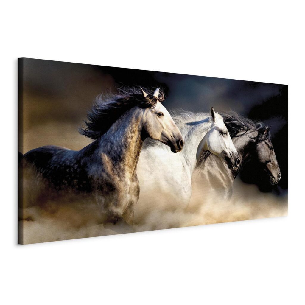 Schilderij - Sons of the Wind (1 Part) Wide - Afbeelding 3