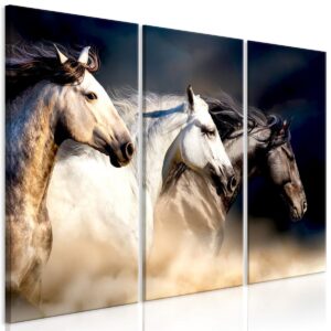 Schilderij - Sons of the Wind (3 Parts)