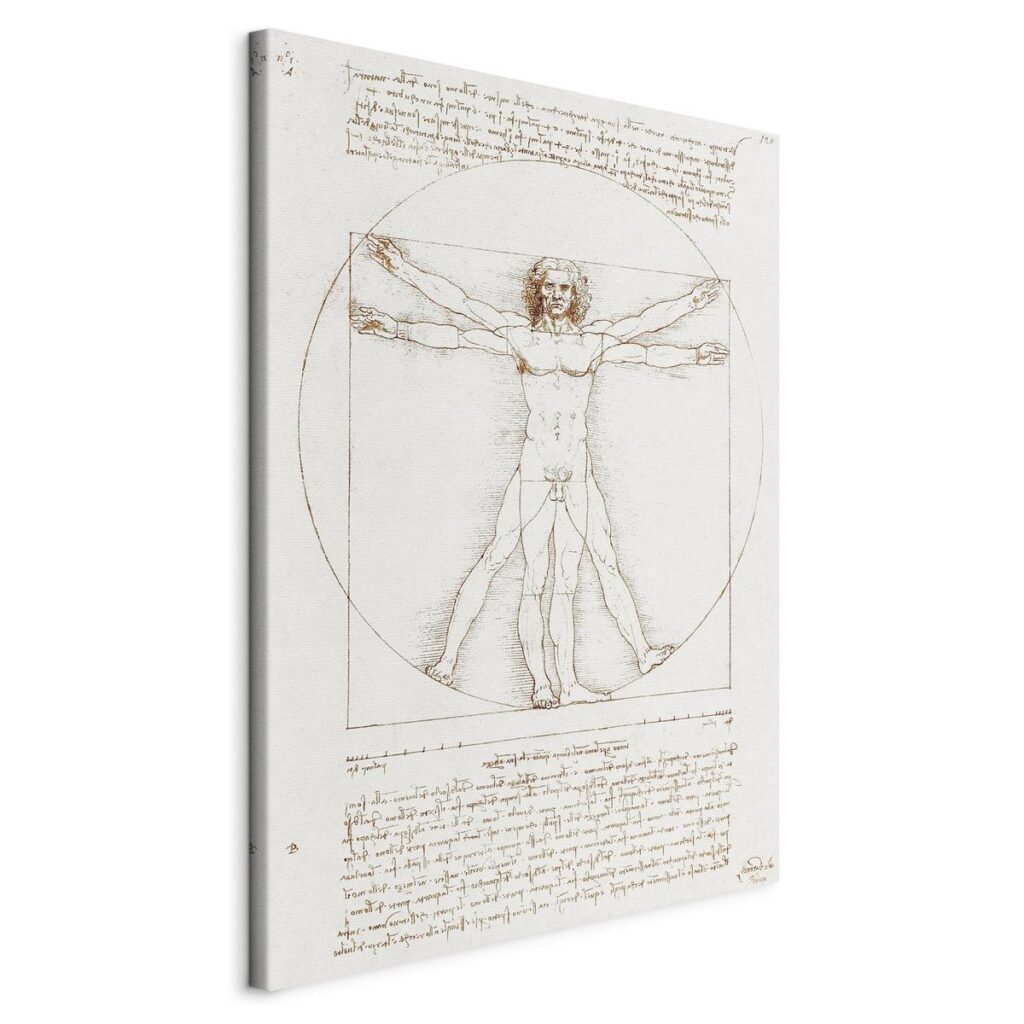 Schilderij - Vitruvian Man (Proportions of the human body according to Vitruvius)